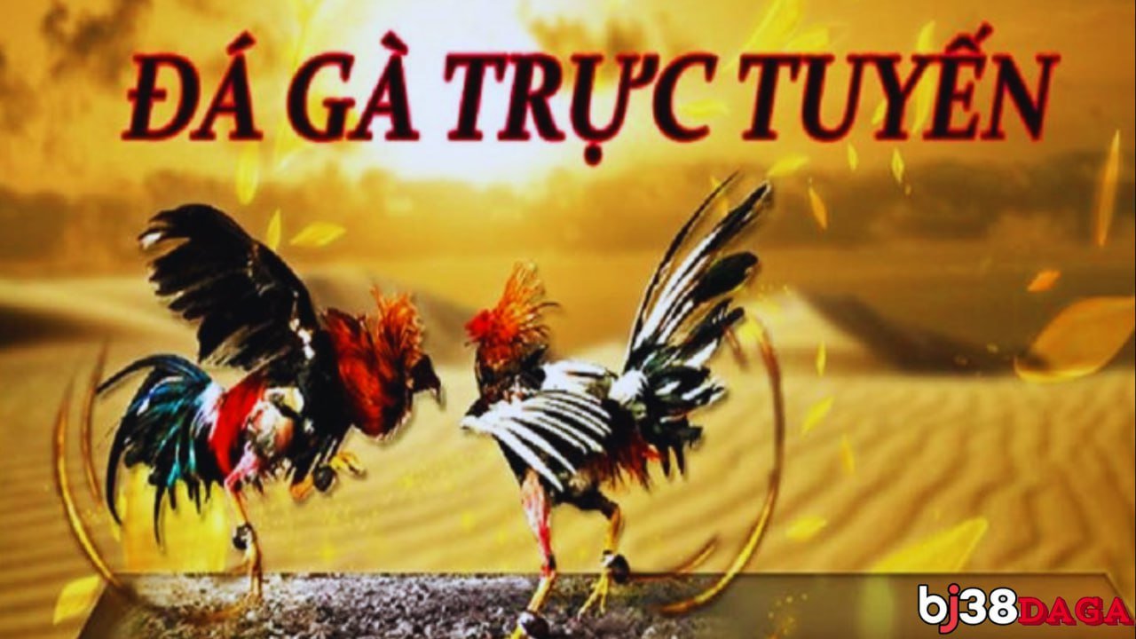 Những Yếu Tố Quan Trọng Cần Lưu Ý Khi Tham Gia Đá Gà Trực Tuyến BJ38daga