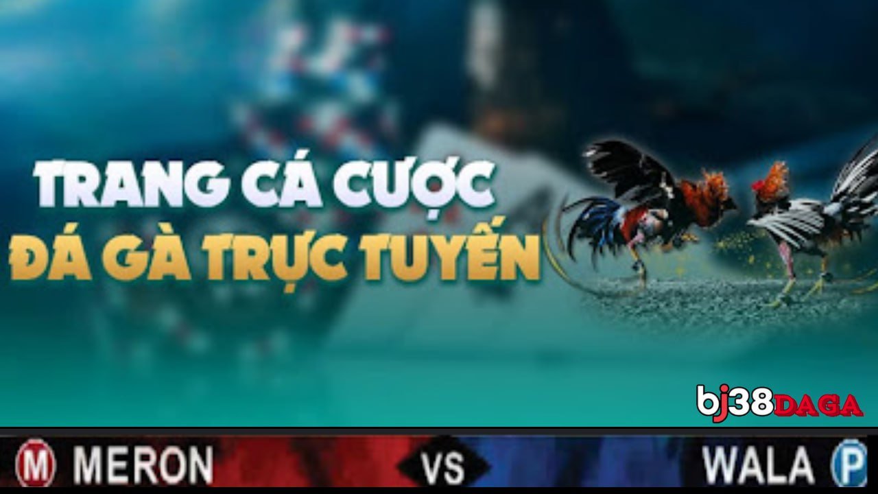 Bí Quyết Tham Gia Cá Cược An Toàn Và Hiệu Quả Trên Đá Gà Thomo Trang Website Bj38daga